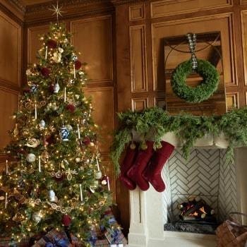 The Classic Christmas Tree landpage image