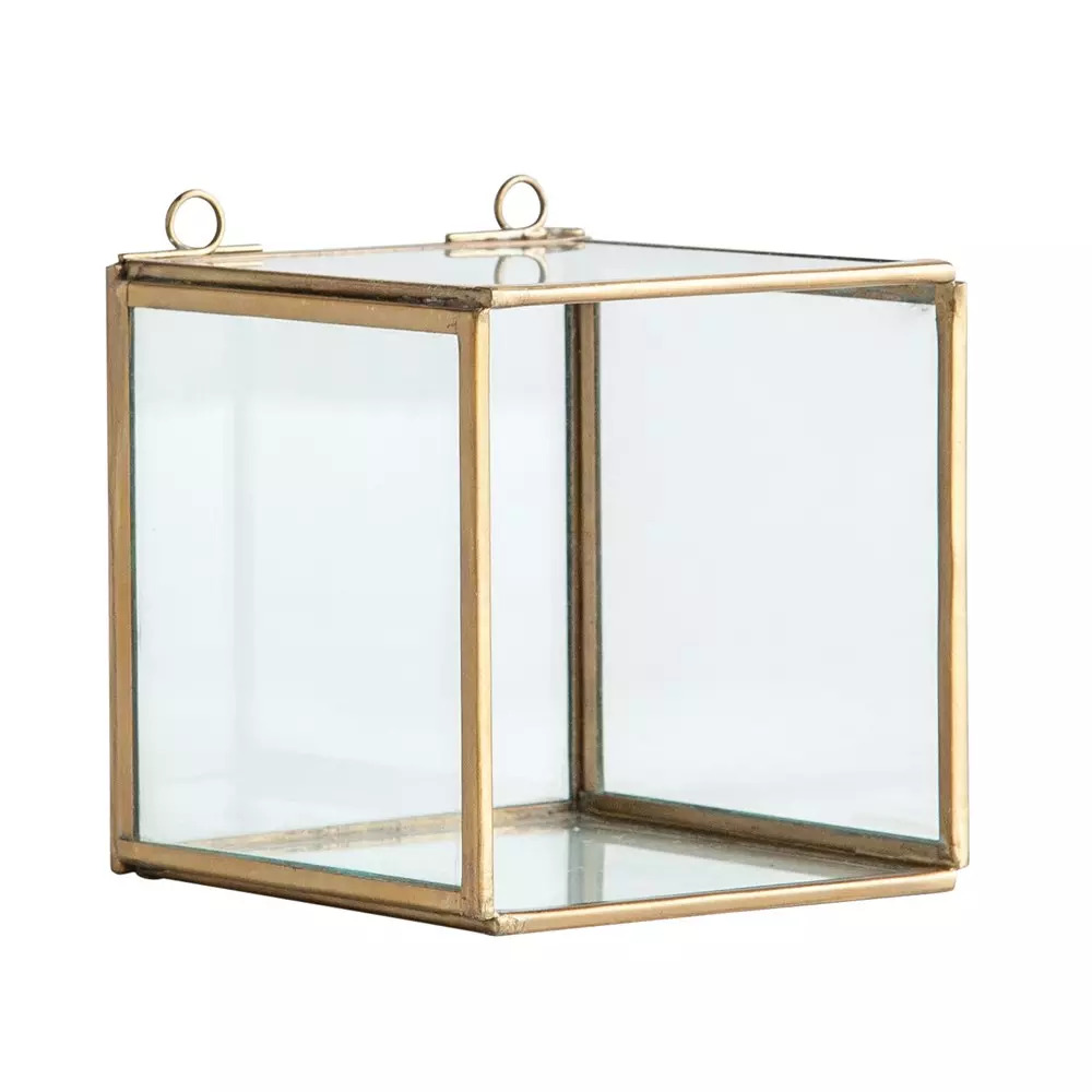 Glass Shadow Box W/ Brass Frame