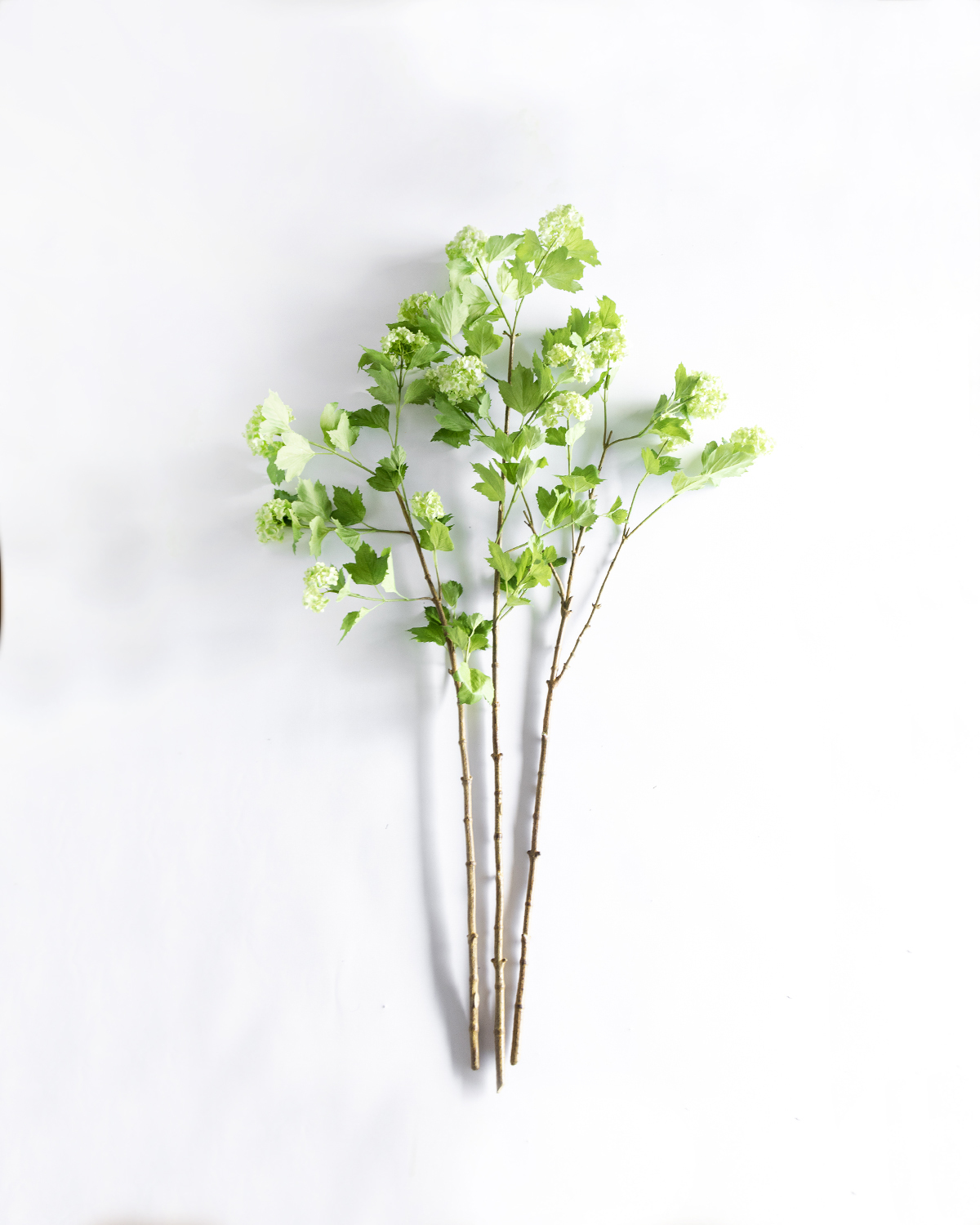 Scout & Nimble Phoebe Snowball Branches 49", Bundle Of 3 | ModeSens