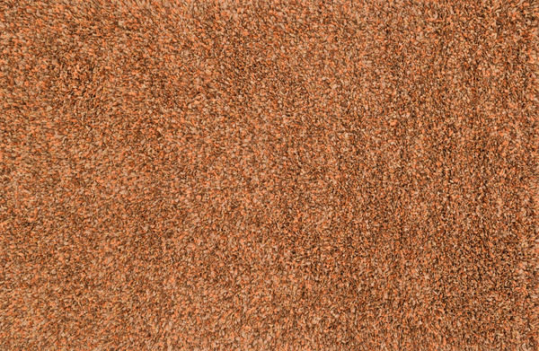 CLEO SHAG RUST RUG | Scout & Nimble