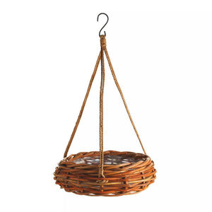 buy philodendron micans Philodendron Micans in Hanging Basket, Live Plant Vines main image 1