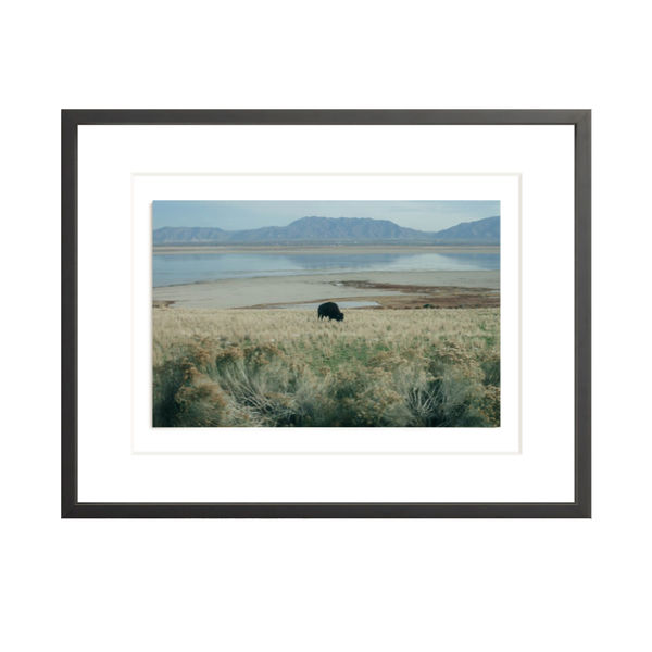 Blue Prairie Art | Scout & Nimble
