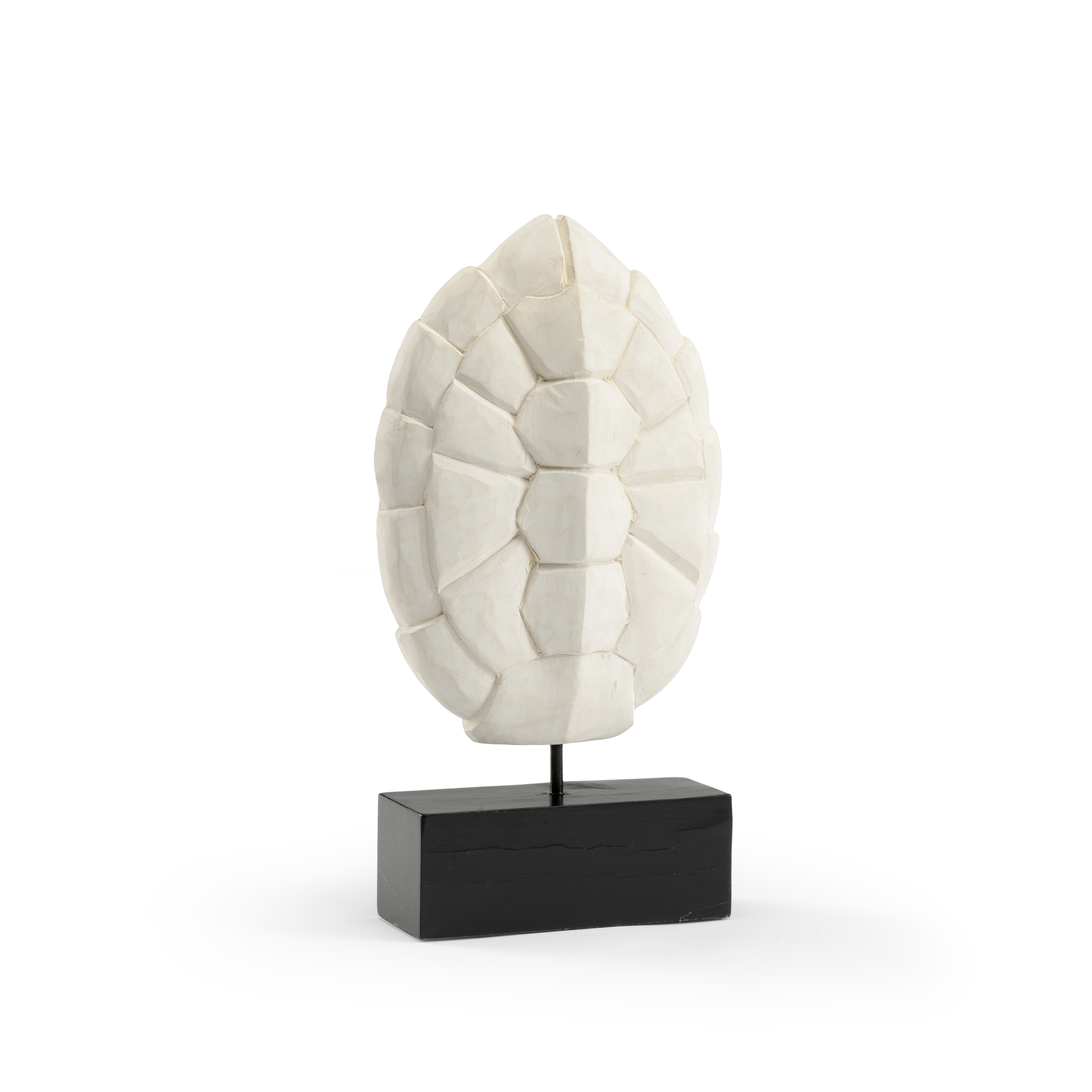 Scout & Nimble Turtle Shell Decorative Item | ModeSens